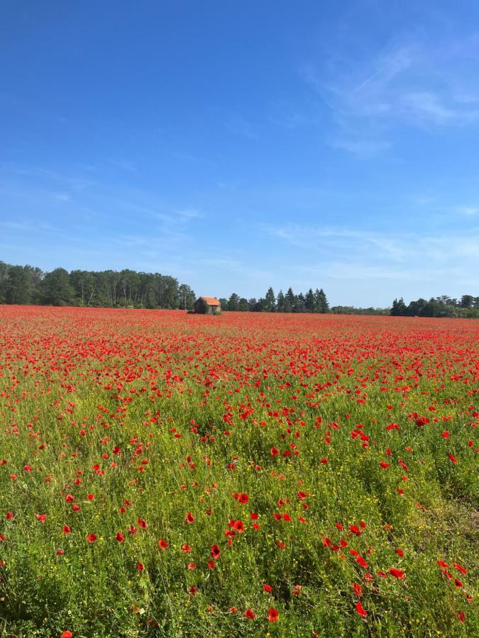 Oh ! Fleurs Des Champs Bed & Breakfast Chaumont-sur-Tharonne Exterior photo