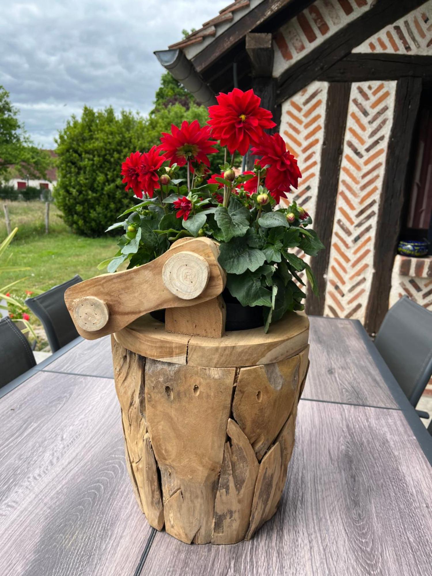 Oh ! Fleurs Des Champs Bed & Breakfast Chaumont-sur-Tharonne Exterior photo